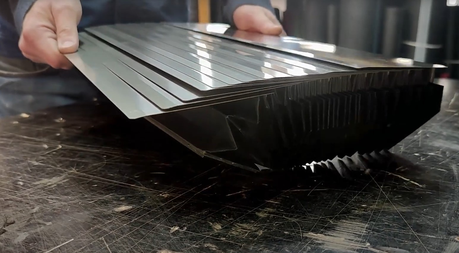 Zachta Bron4 Zachta Bron4