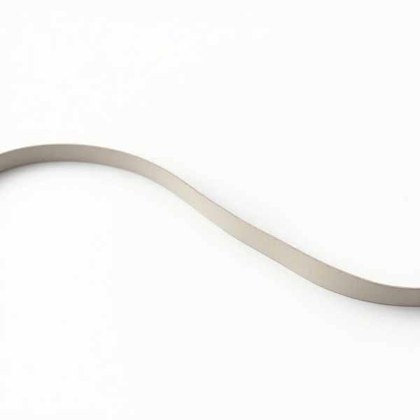 Flux Dev Ultrarealistic Closeup Of A Thin Narrow Smooth Leathe  P75025